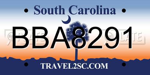 BBA8291 South Carolina License Plate