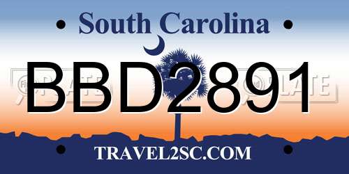 BBD2891 South Carolina License Plate