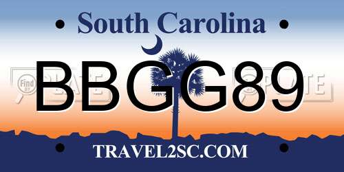 BBGG89 South Carolina License Plate