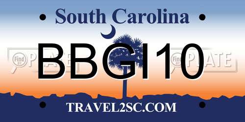 BBGI10 South Carolina License Plate