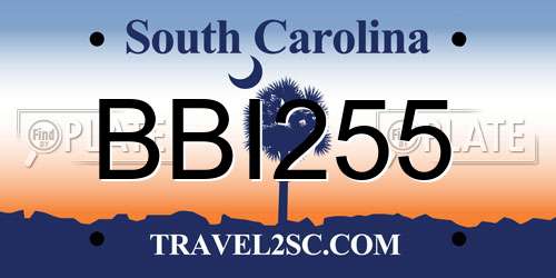 BBI255 South Carolina License Plate