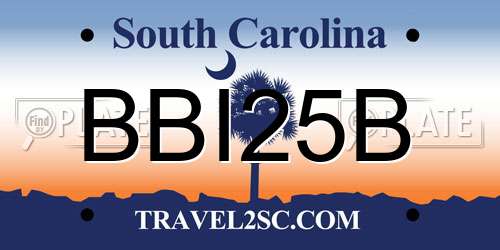 BBI25B South Carolina License Plate