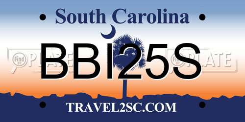 BBI25S South Carolina License Plate