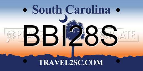 BBI28S South Carolina License Plate