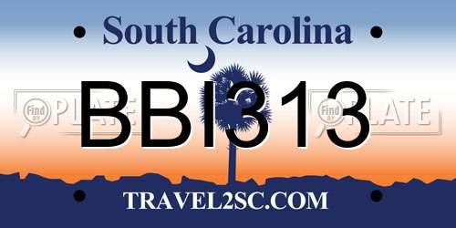 BBI313 South Carolina License Plate