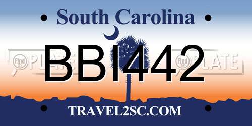 BBI442 South Carolina License Plate