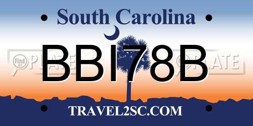 BBI78B South Carolina License Plate