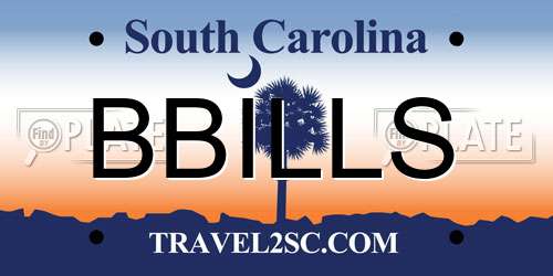 BBILLS South Carolina License Plate