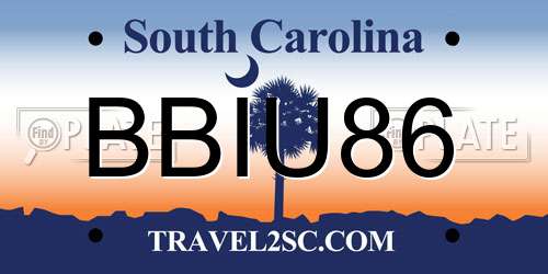 BBIU86 South Carolina License Plate