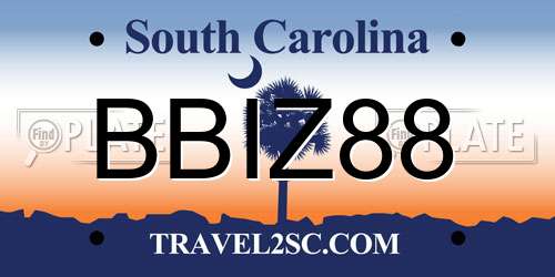 BBIZ88 South Carolina License Plate