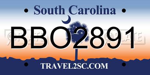 BBO2891 South Carolina License Plate