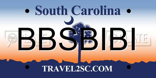 BBSBIBI South Carolina License Plate