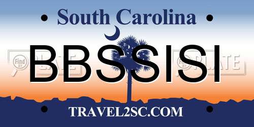 BBSSISI South Carolina License Plate
