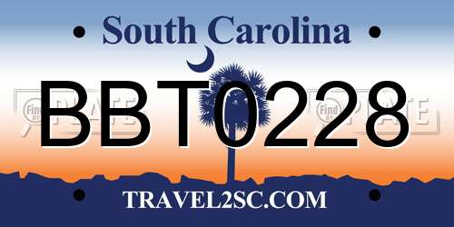 BBT0228 South Carolina License Plate