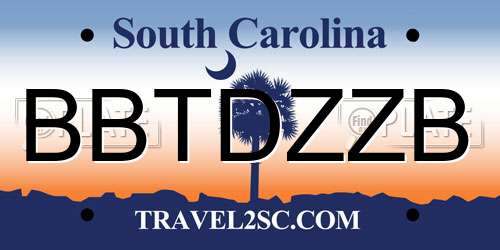 BBTDZZB South Carolina License Plate