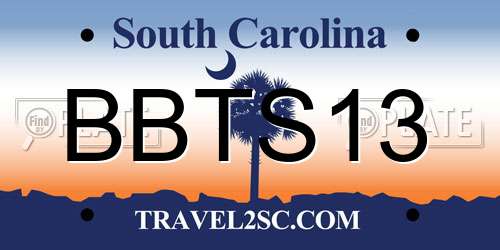 BBTS13 South Carolina License Plate