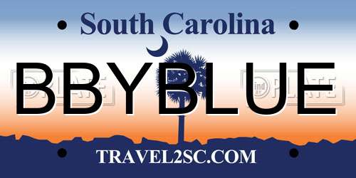 BBYBLUE South Carolina License Plate