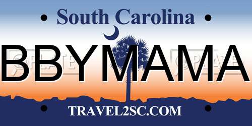 BBYMAMA South Carolina License Plate