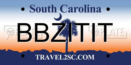 BBZITIT South Carolina License Plate