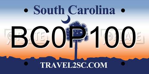 BC0P100 South Carolina License Plate