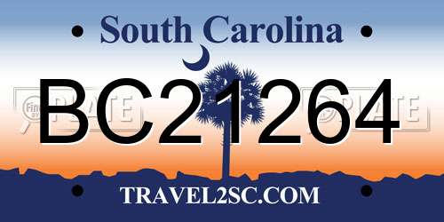 BC21264 South Carolina License Plate
