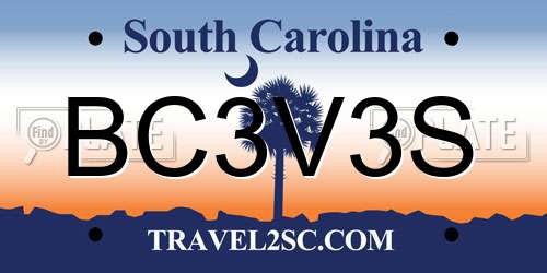 BC3V3S South Carolina License Plate