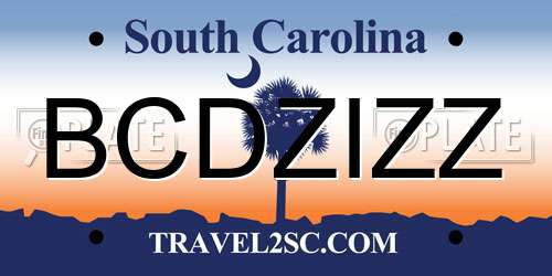 BCDZIZZ South Carolina License Plate