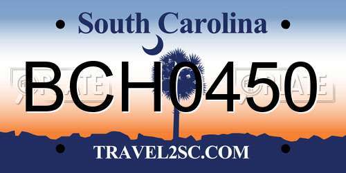 BCH0450 South Carolina License Plate