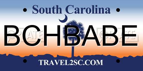 BCHBABE South Carolina License Plate