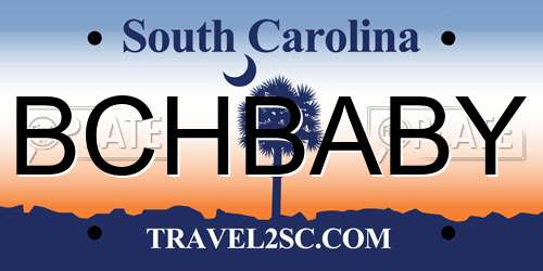 BCHBABY South Carolina License Plate