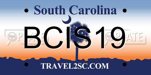 BCIS19 South Carolina License Plate