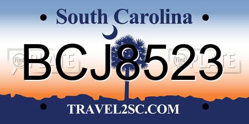 BCJ8523 South Carolina License Plate
