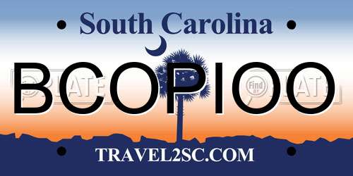 BCOPIOO South Carolina License Plate