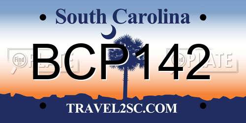 BCP142 South Carolina License Plate