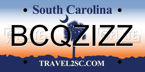 BCQZIZZ South Carolina License Plate