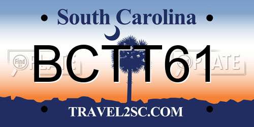 BCTT61 South Carolina License Plate