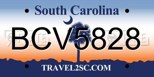 BCV5828 South Carolina License Plate