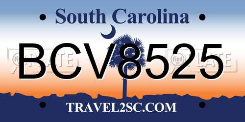 BCV8525 South Carolina License Plate