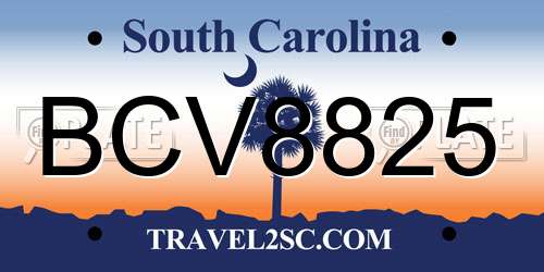 BCV8825 South Carolina License Plate