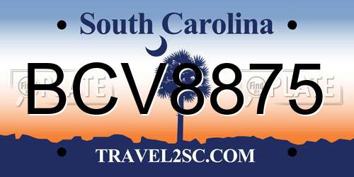 BCV8875 South Carolina License Plate