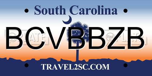 BCVBBZB South Carolina License Plate