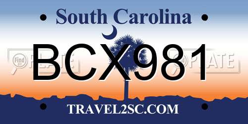 BCX981 South Carolina License Plate