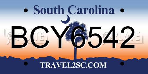 BCY6542 South Carolina License Plate