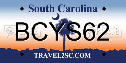 BCYS62 South Carolina License Plate