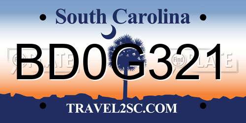 BD0G321 South Carolina License Plate