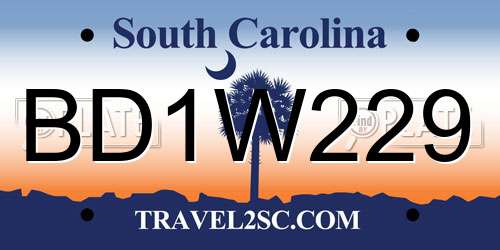 BD1W229 South Carolina License Plate