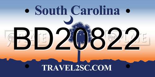 BD20822 South Carolina License Plate