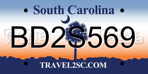 BD2S569 South Carolina License Plate