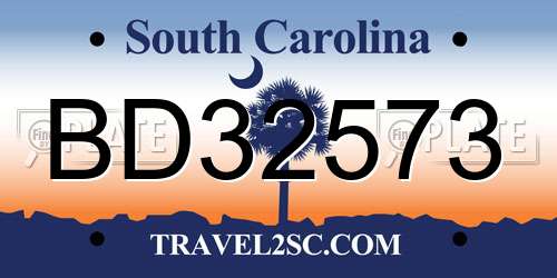 BD32573 South Carolina License Plate