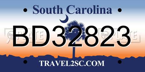 BD32823 South Carolina License Plate